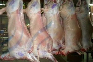 Frozen-Mutton-Lamb-Sheep-Meat-goat-boar