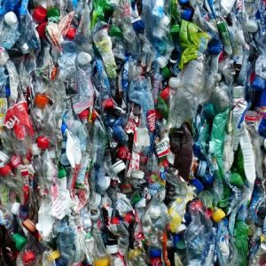 Pet-Bottles
