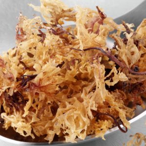 Sea Moss