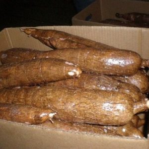 manioca